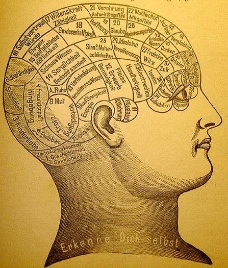 An antiquated map of the brain