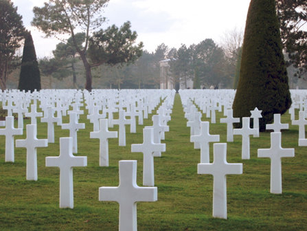 A graveyard with white crosses in rows