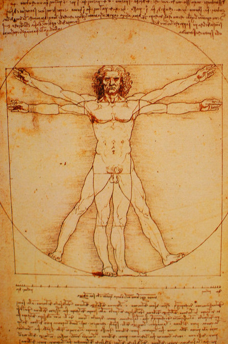 Vitruvian man diagram