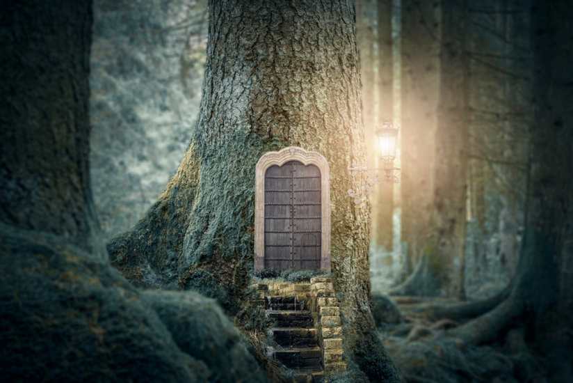 A tree with a door in it
