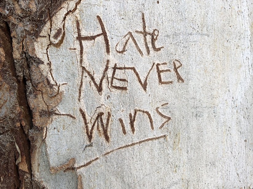 Tree with a message on it