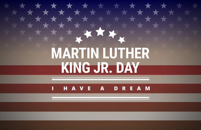 Mlk Day Chicago 2025 Miles Brook