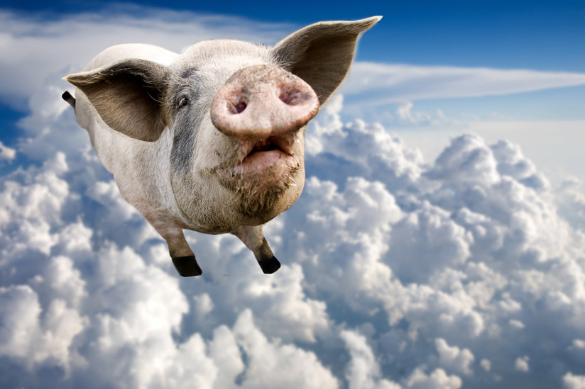 A pig in the sky