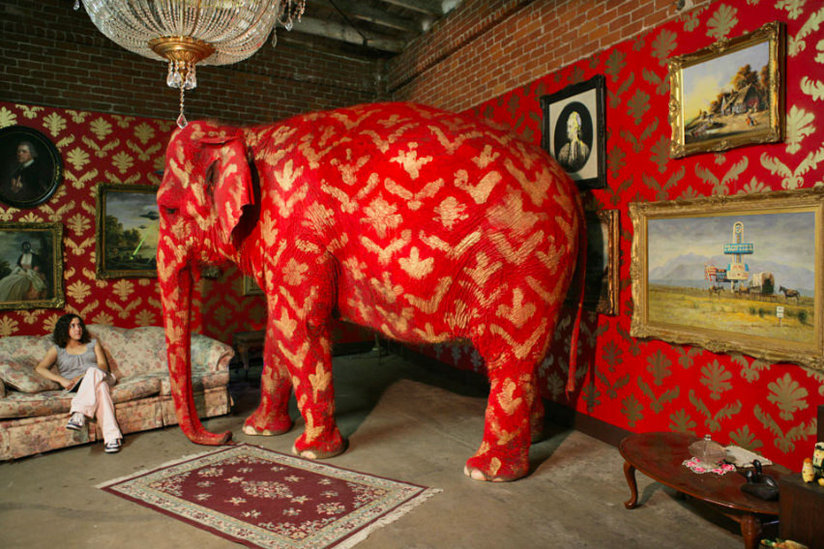 Elephant in room