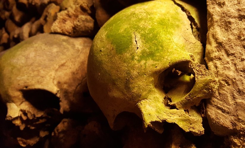 Skulls